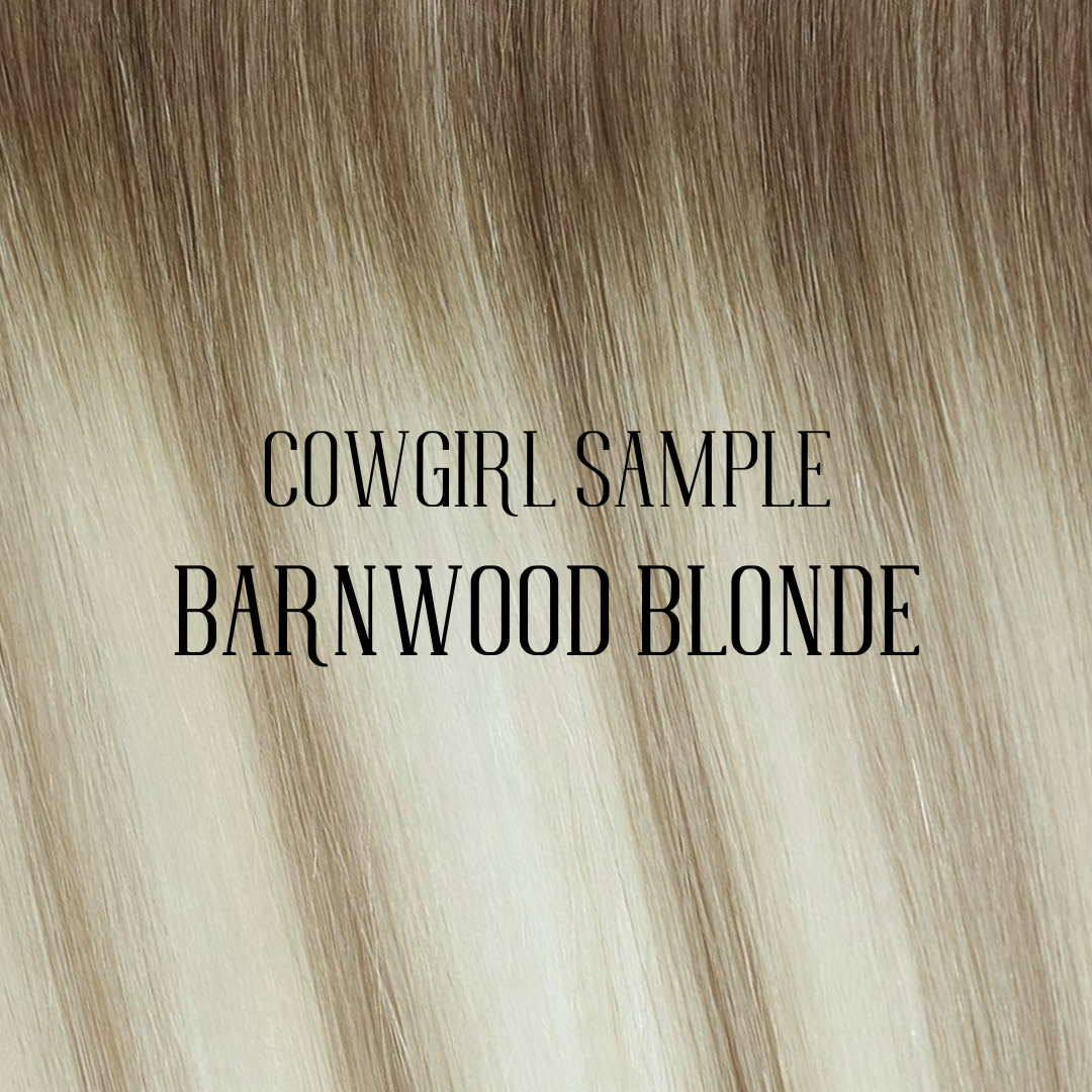 Barnwood Blonde - Color Sample