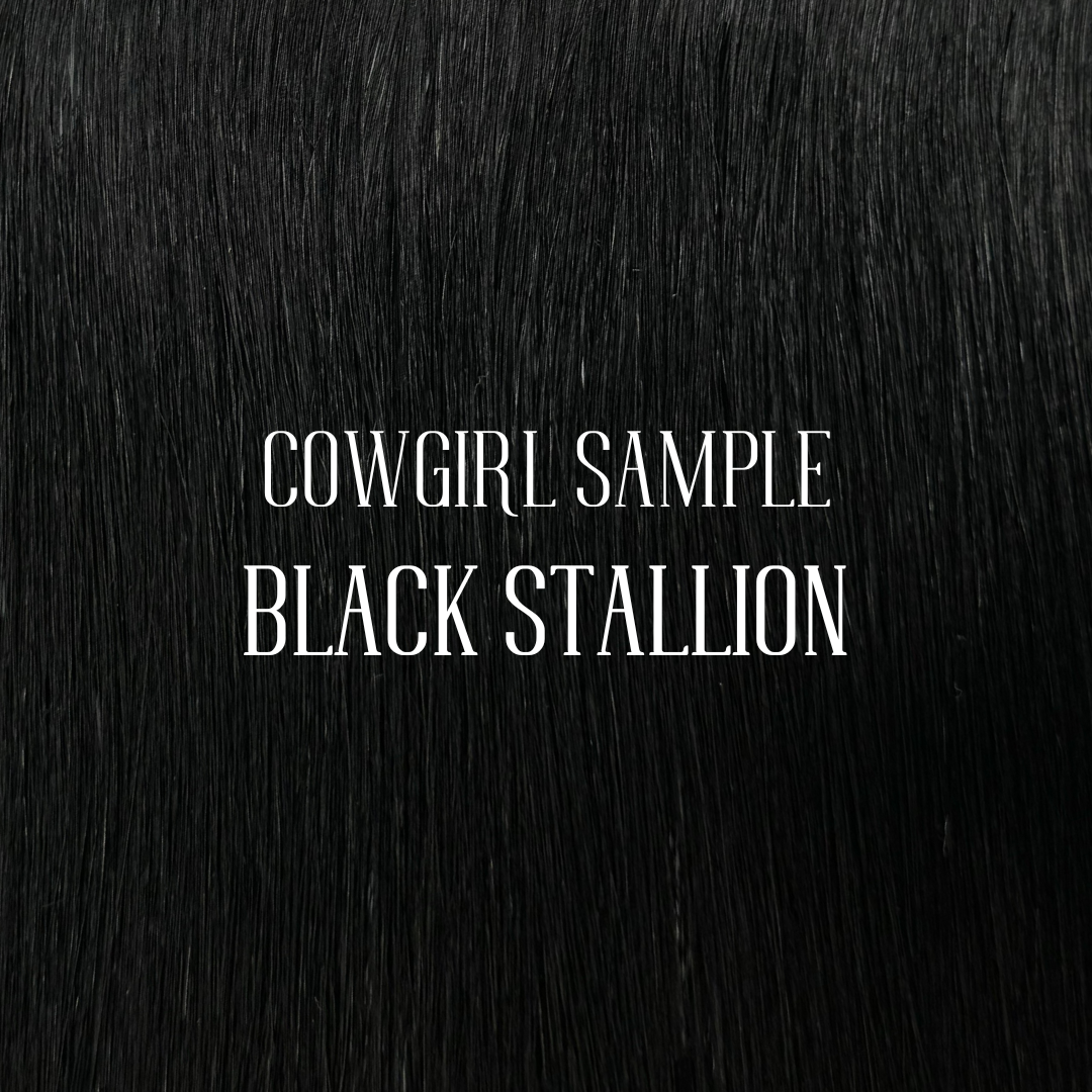 Black Stallion - Color Sample